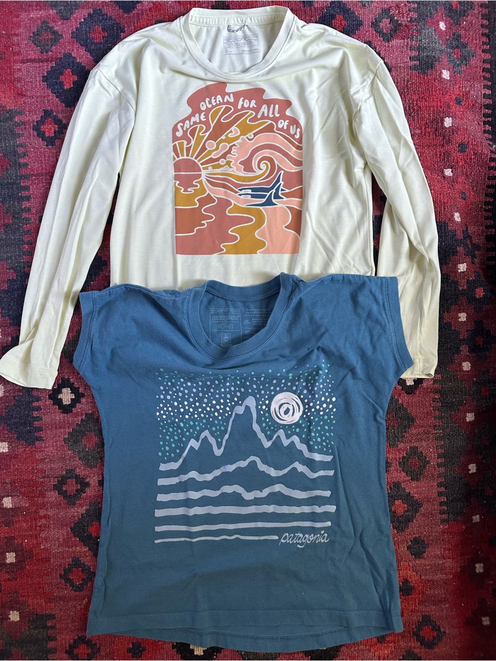 Lot of 2 Kid Patagonia tops